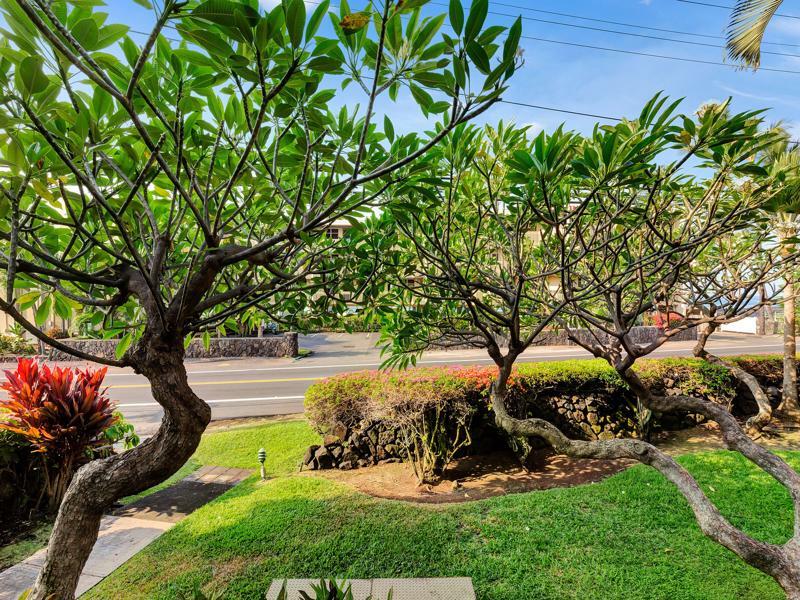 Castle Kona Bali Kai A Condominium Resort Holualoa Eksteriør bilde